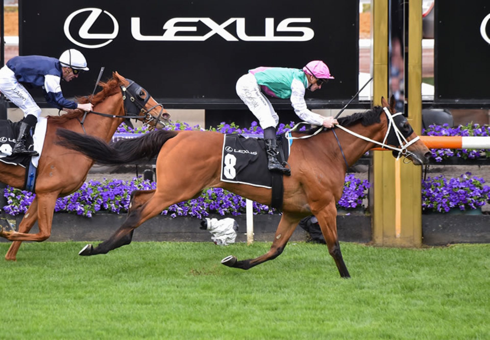 Surefire (Fastnet Rock) won the Gr.3 Archer Stakes at Flemington