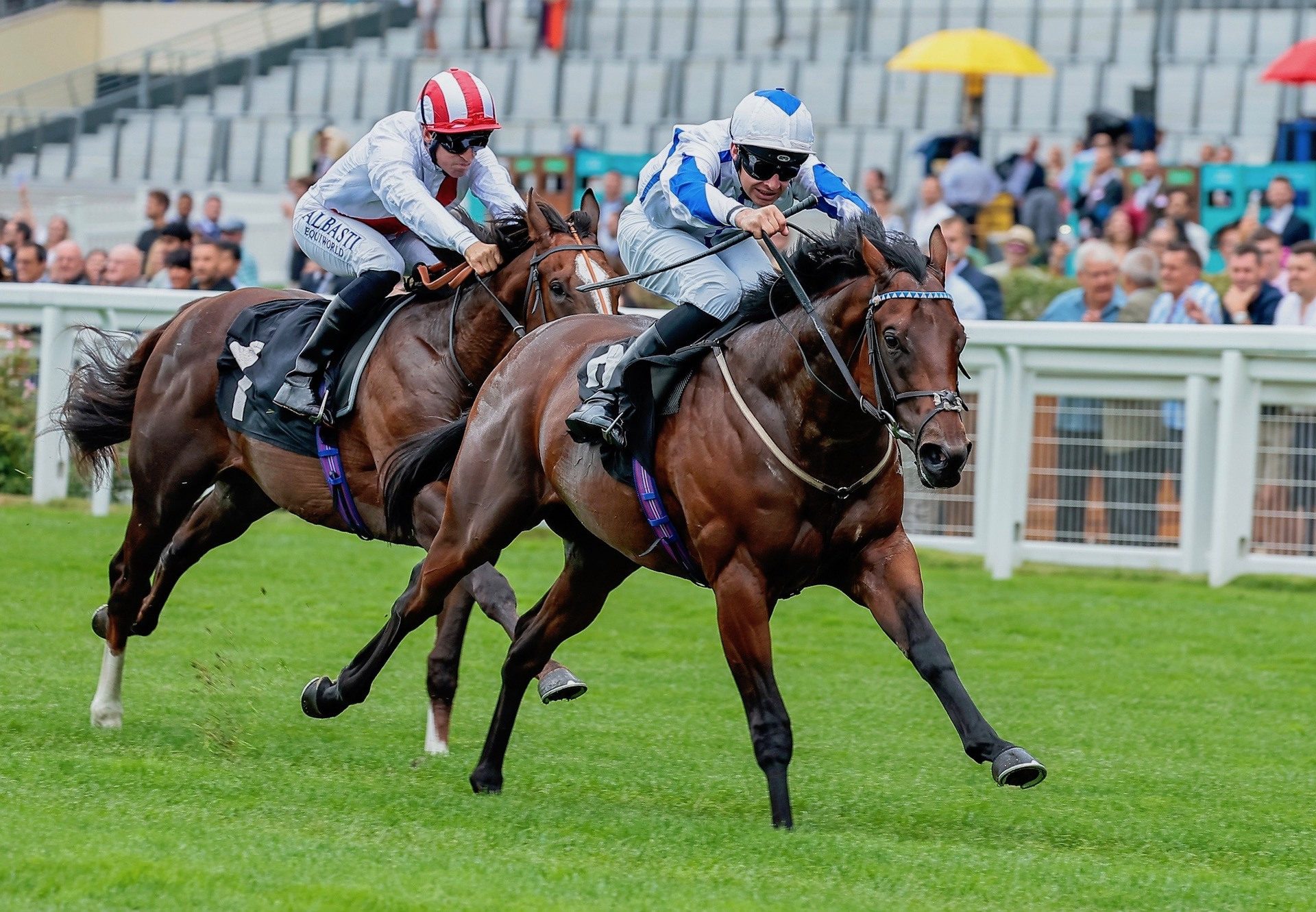 Buccabay (Saxon Warrior) Wins His Maiden At Ascot