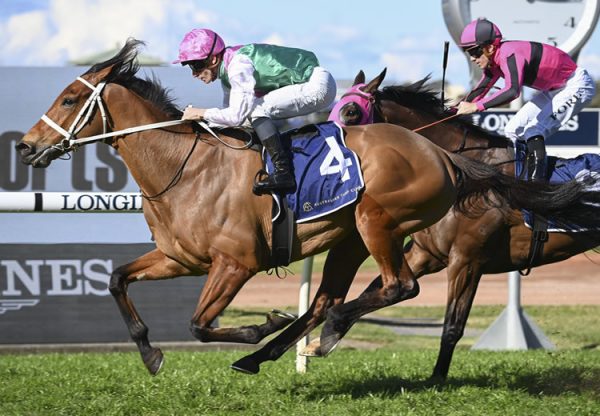 Surefire (Fastnet Rock) wins at Rosehill