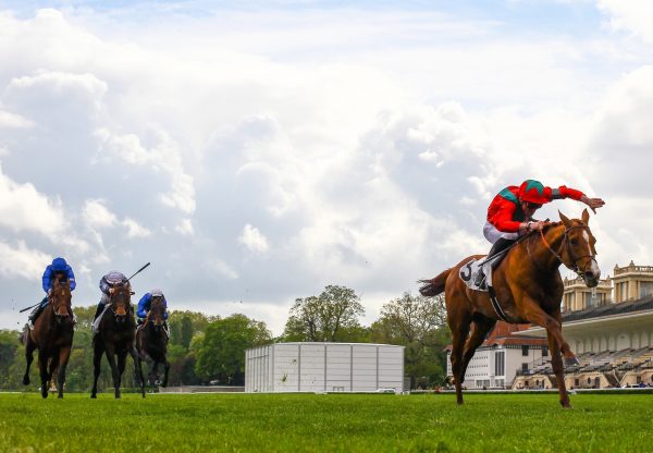 Waldgeist (Galileo) Wins The Group 1 Prix Ganay at Chantilly