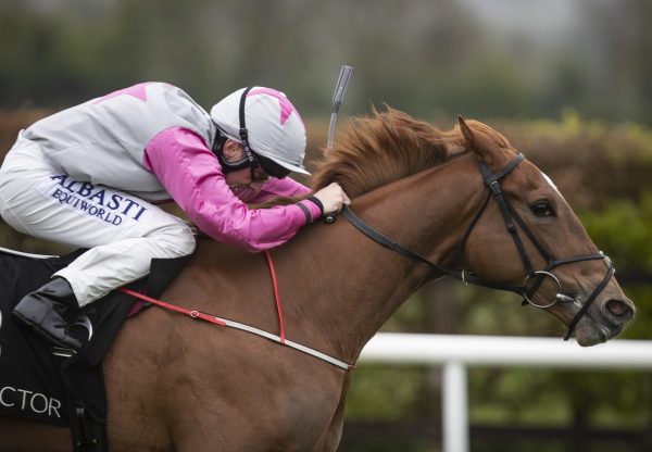 Back To Brussels (Starspangledbanner) winning a fillies maiden at Navan