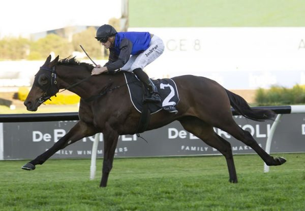 Shadow Hero (Pierro) winning the Gr.3 Gloaming Stakes at Rosehill