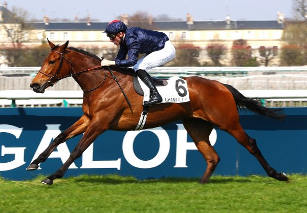 Villa Damore (Mastercraftsman) winning the Prix de Brunehaut at Chantilly