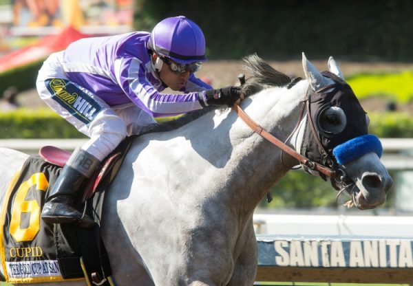 Cupid winning the Gold Cup at Santa Anita Stakes