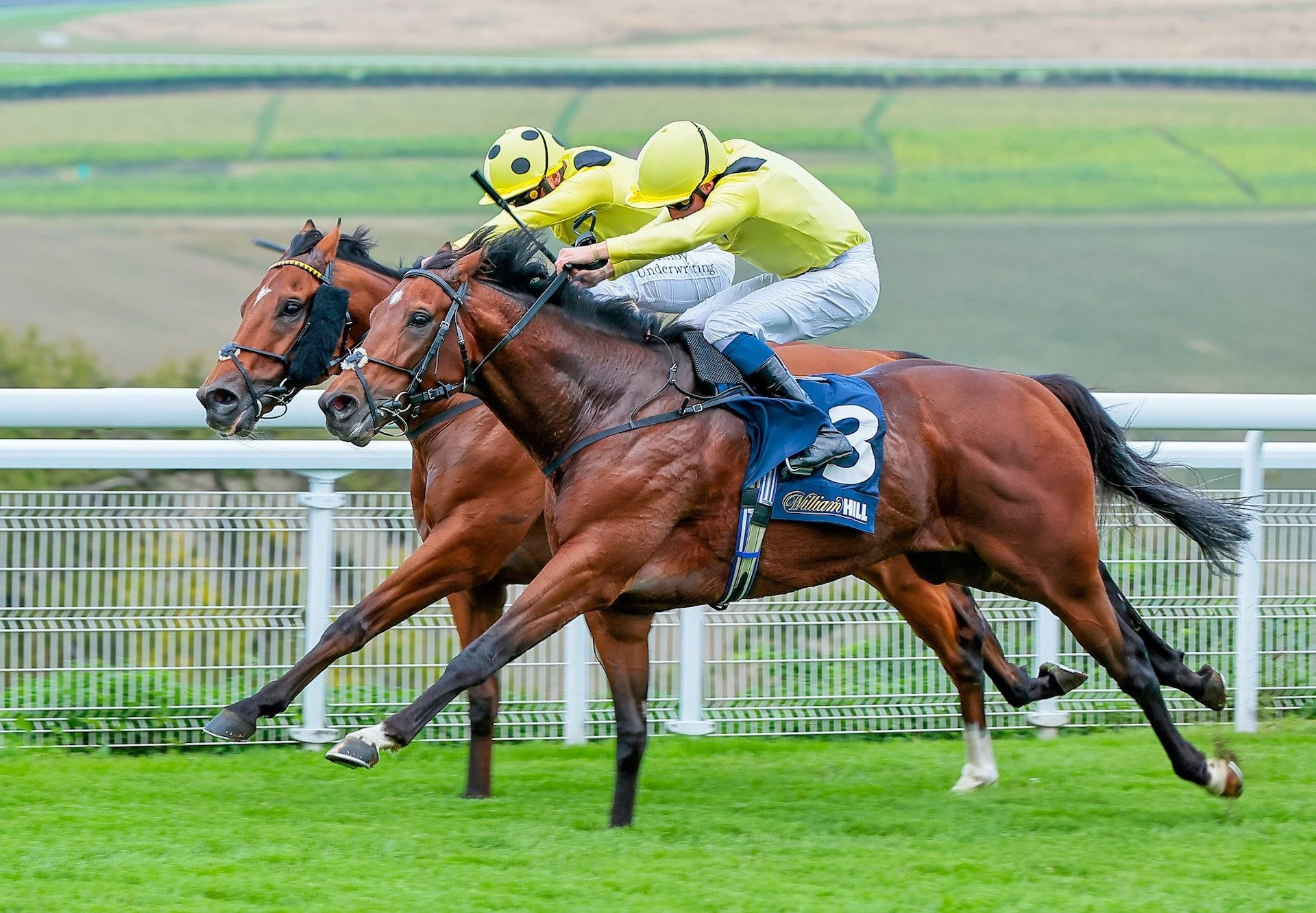 Jadoomi (Holy Roman Emperor) Wins The Group 2 Celebration Mile At Goodwood