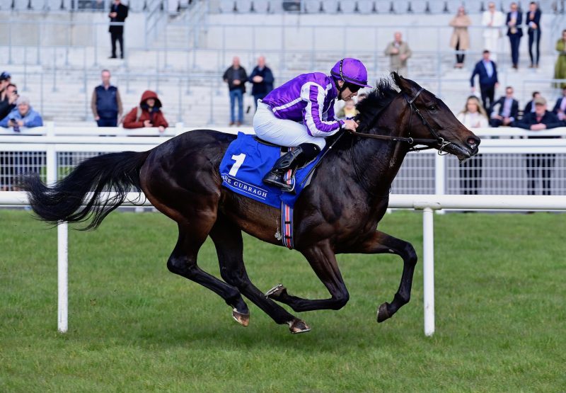 Democracy (No Nay Never) Wins On Debut At The Curragh