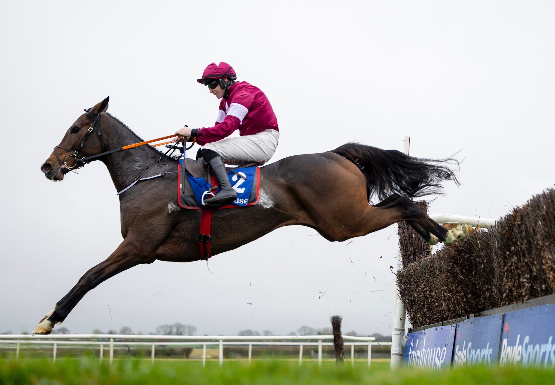 Croke Park (Walk In The Park) Wins The Beginners Chase At Fairyhouse