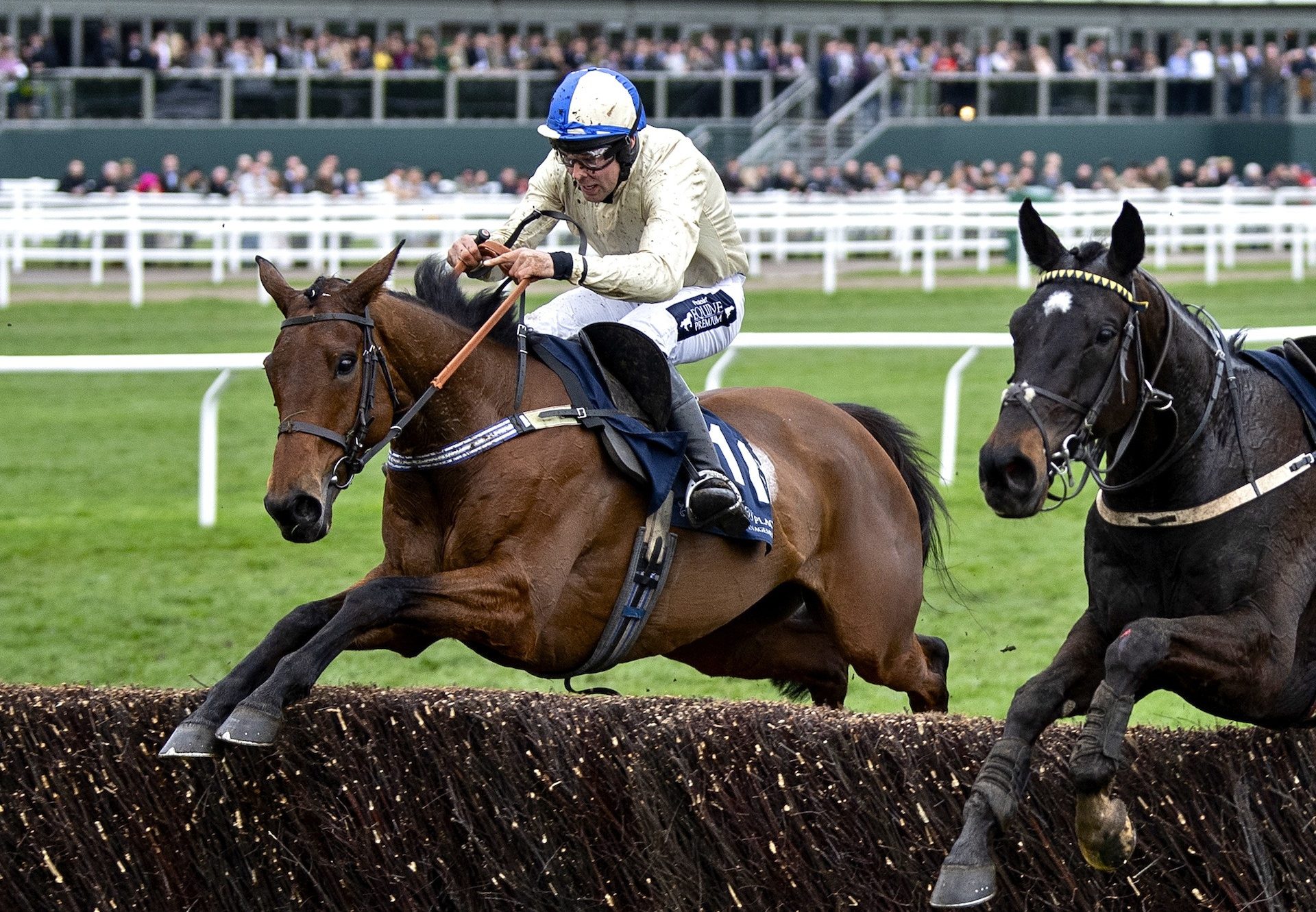 Hazel Hill Provides Milan With Cheltenham Festival Success In The Foxhunters Chase