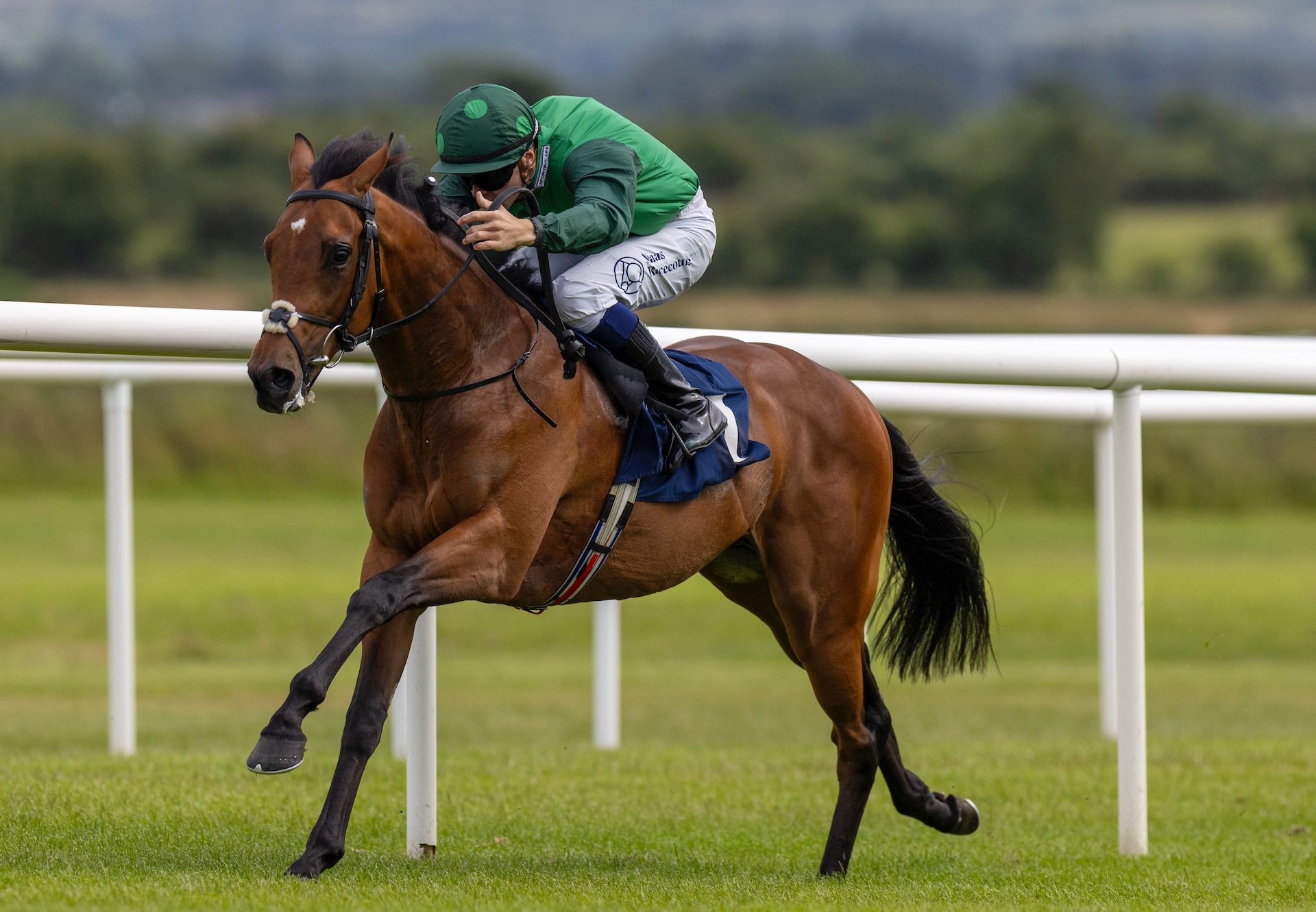 Green Triangle (Gleneagles) Draws Clear At Roscommon