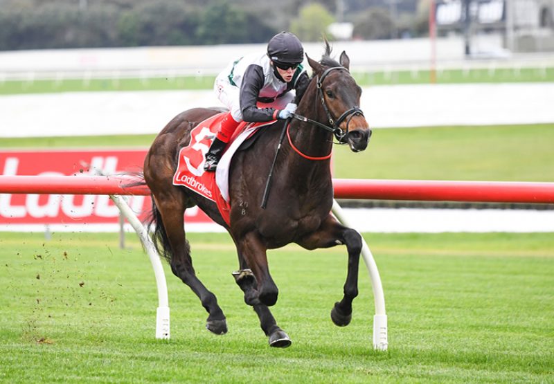 Sandy Prince (Pride Of Dubai) winning at Sandown