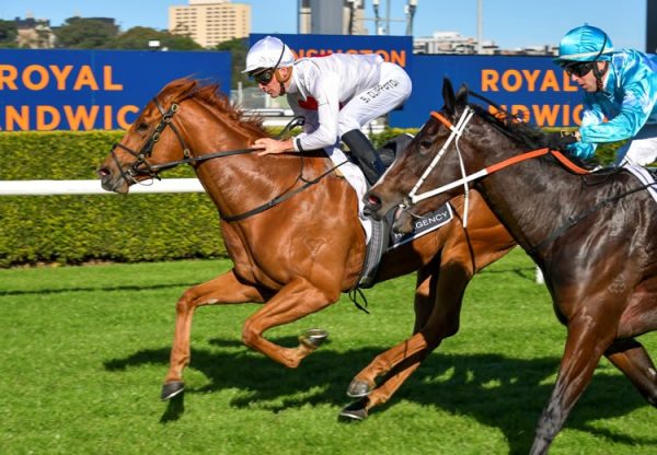 Forzanini (Pride Of Dubai) winning at Randwick