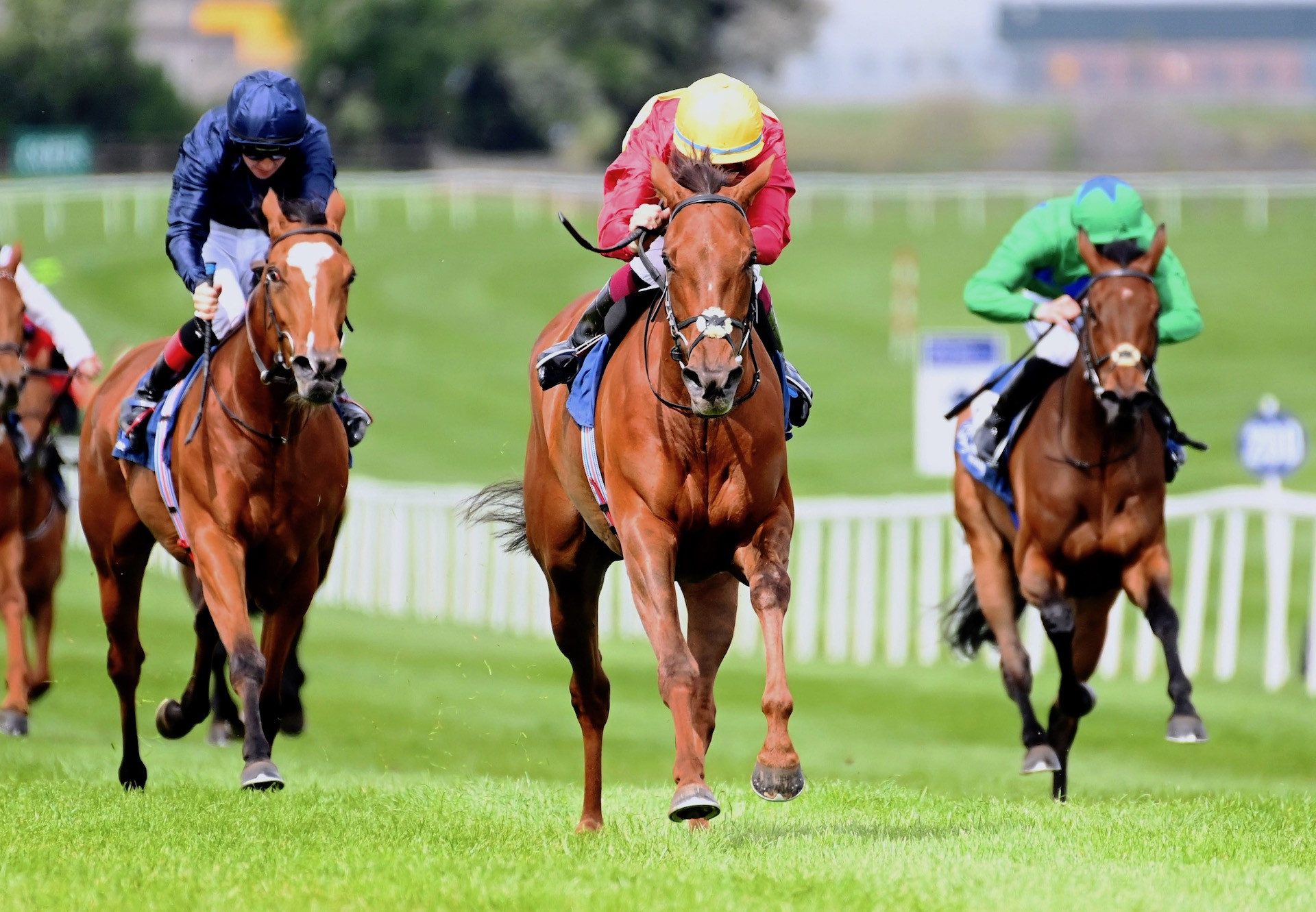 Tranquil Lady (Starspangledbanner) Wins The Group 3 Blue Wind Stakes at Naas