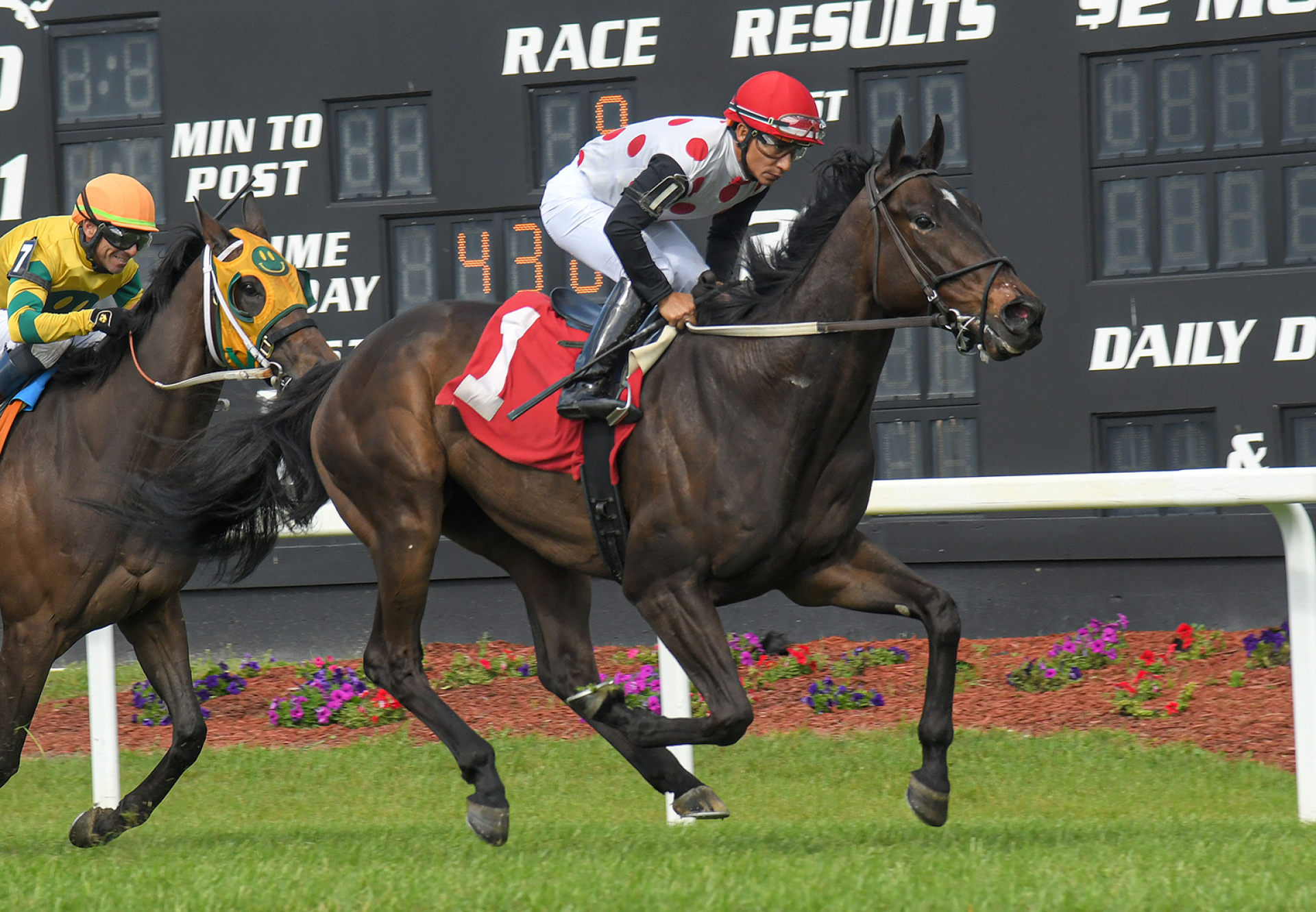 Forever Souper (American Pharoah) Wins Turf Classic at Tampa Bay Downs