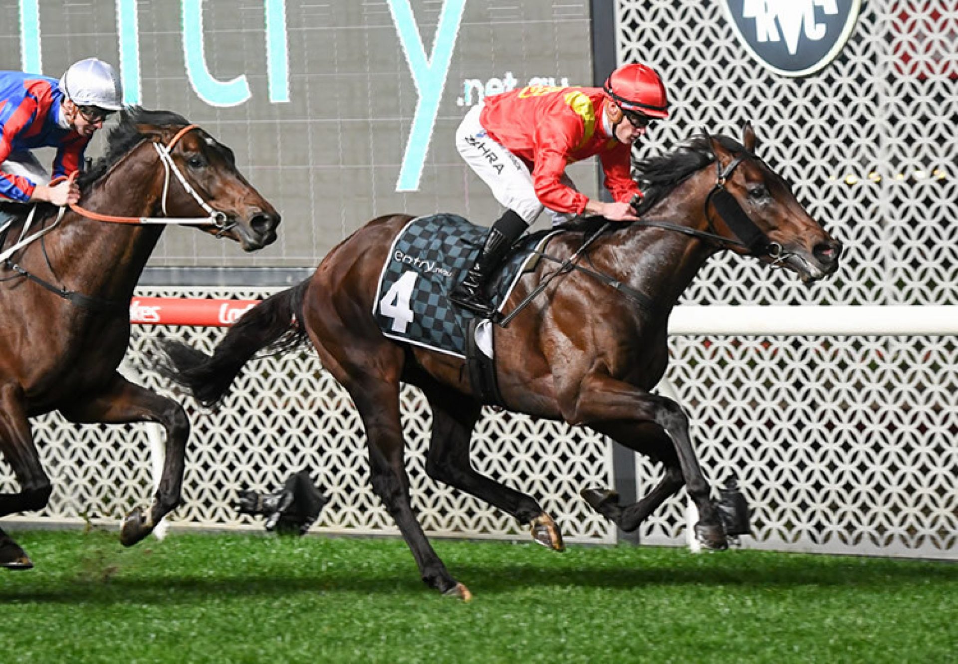 Tijuana (American Pharoah) winning the Gr.2 Stutt Stakes at Moonee Valley