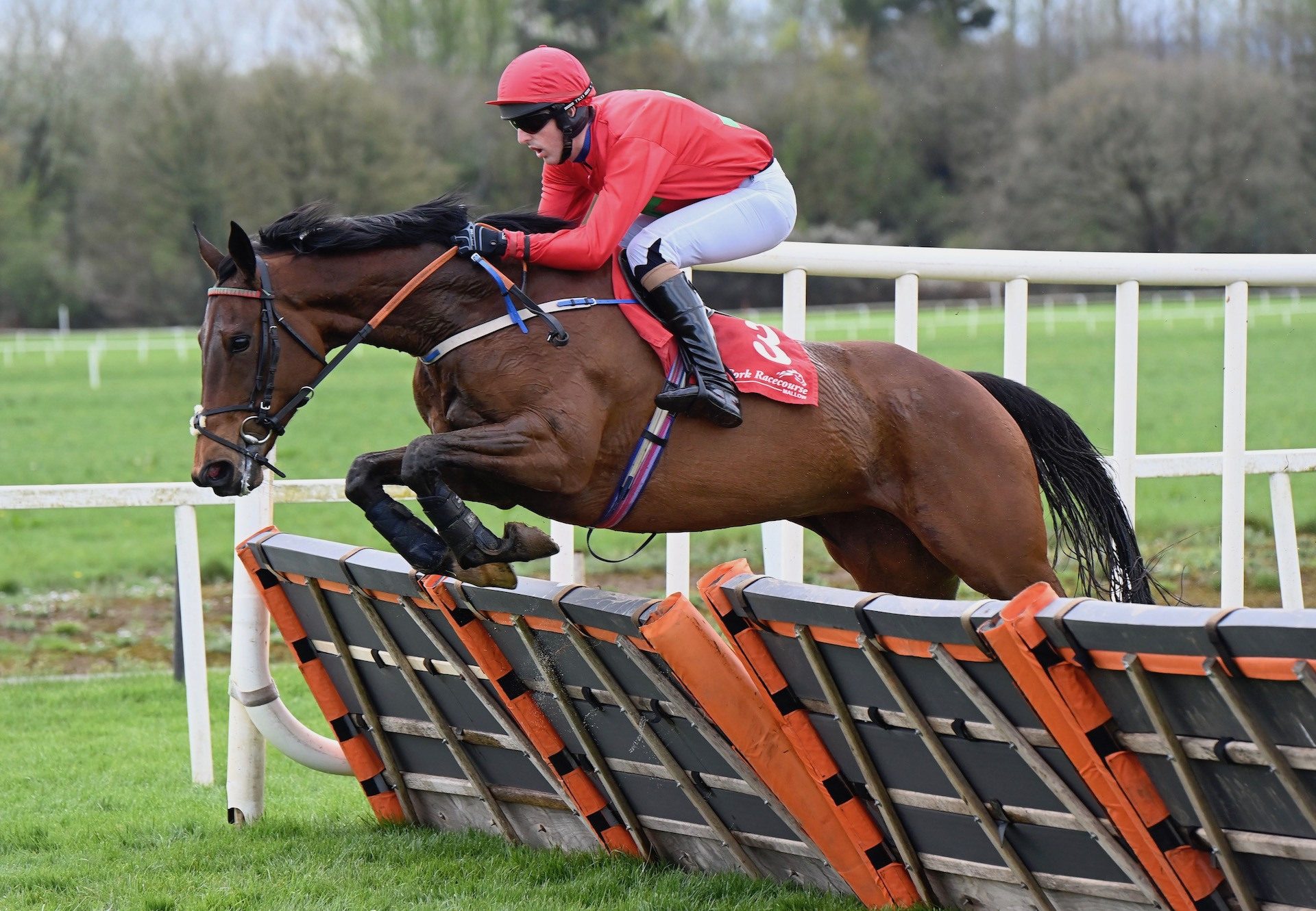 Copper Nation (Westerner) Wins The Mares Maiden Hurdle At Cork