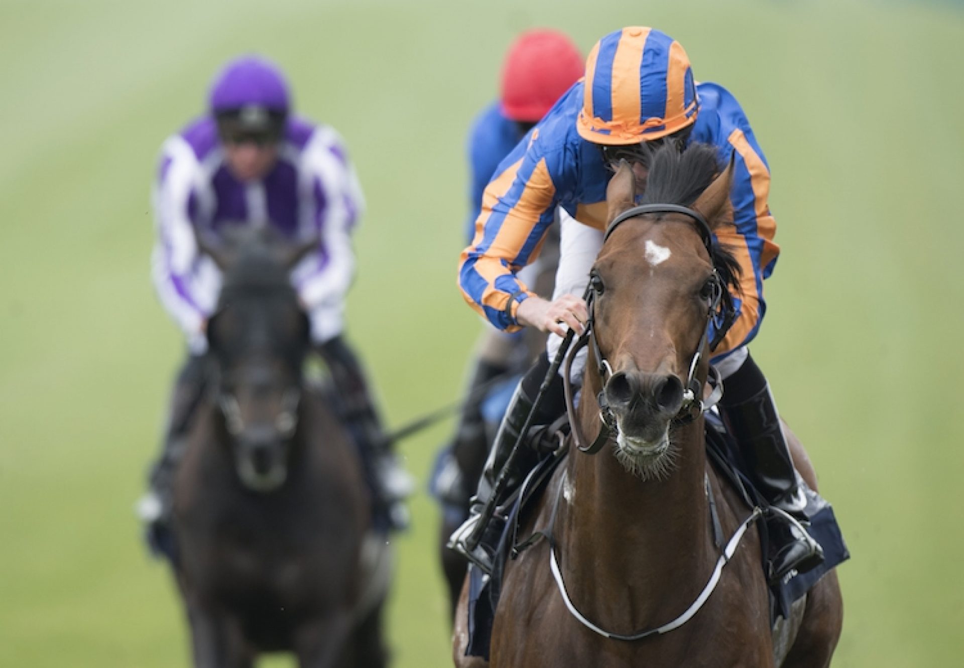 Churchill winning the G1 Irish Guineas at the Curragh