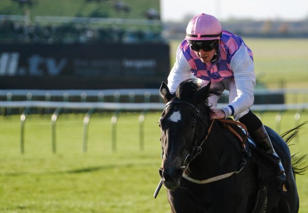 Blue Gardenia (Mastercraftsman) winning the Listed Montrose Stakes at Newmarket