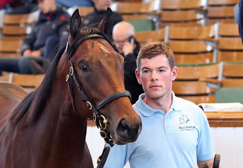 No Nay Never ex Jacquelin Jag selling for 450,000gns