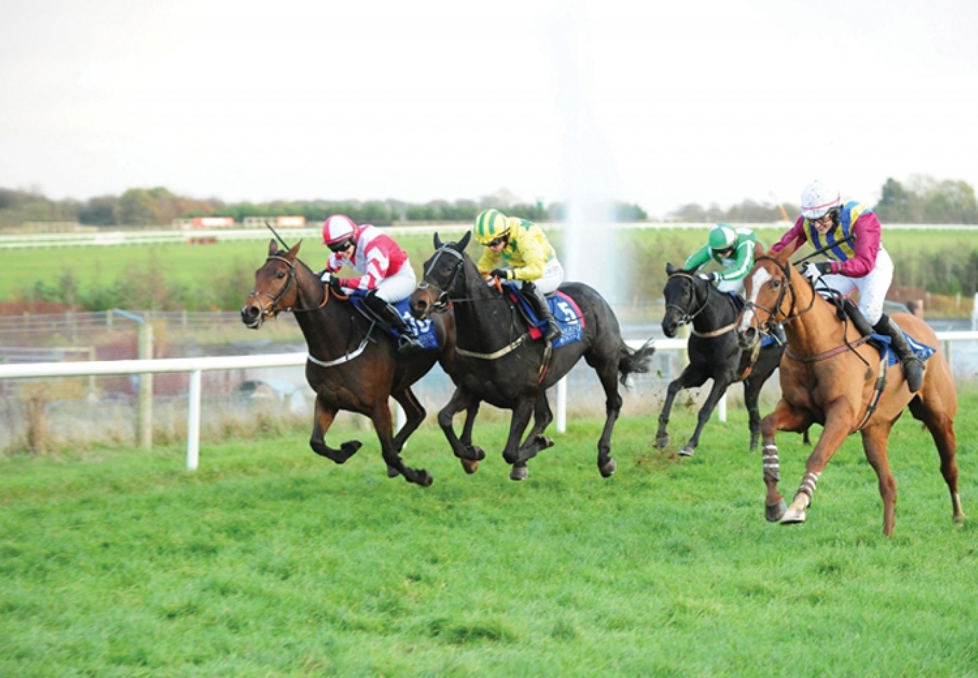 Presenting Mahler (Mahler) winning a bumper at Limerick