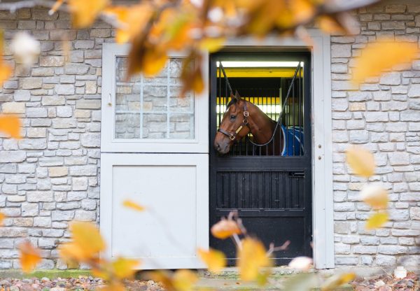 Practical Joke Ashford Arrival