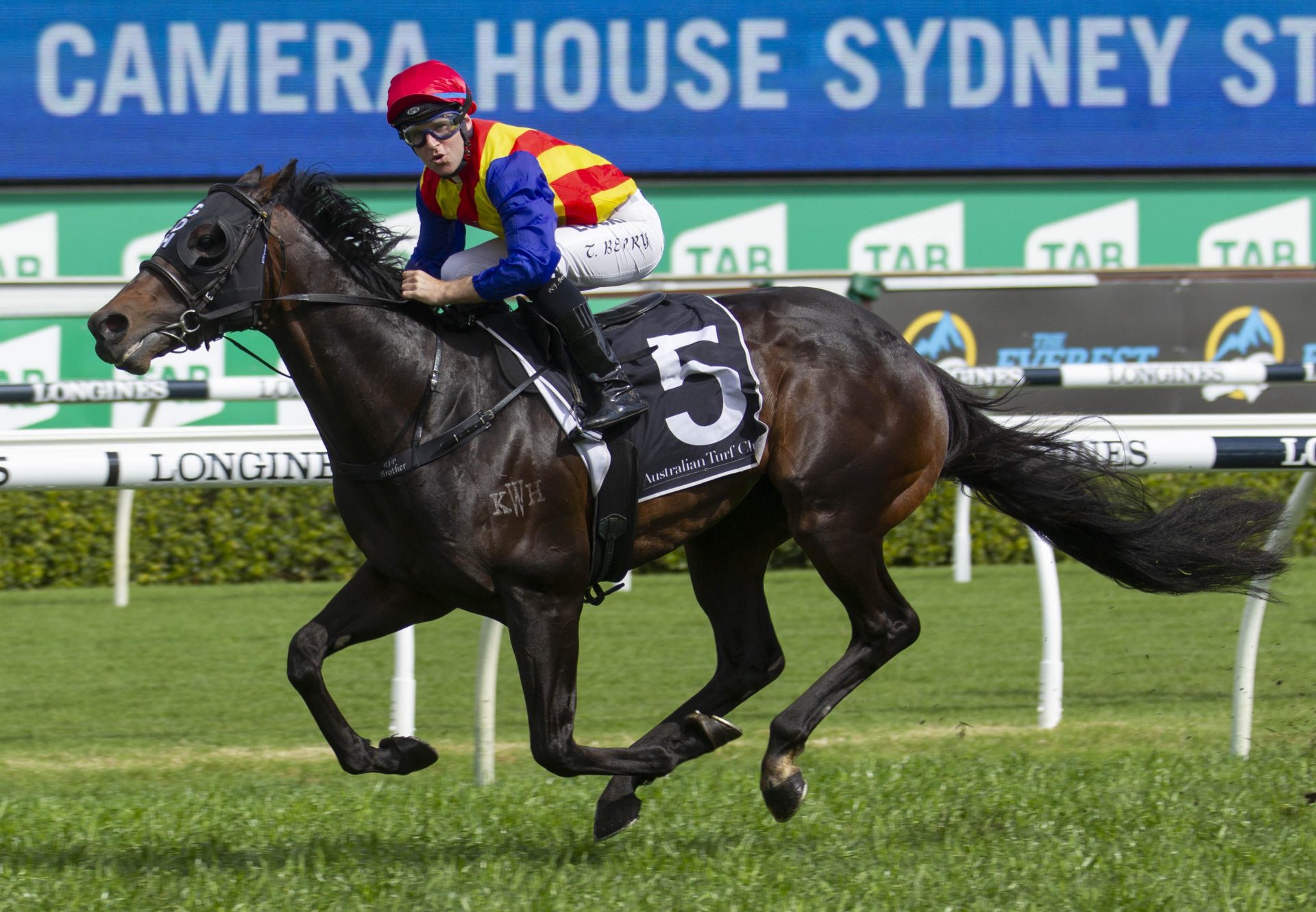 Pierata (Pierro) winning the G3 ATC Sydney Stakes.