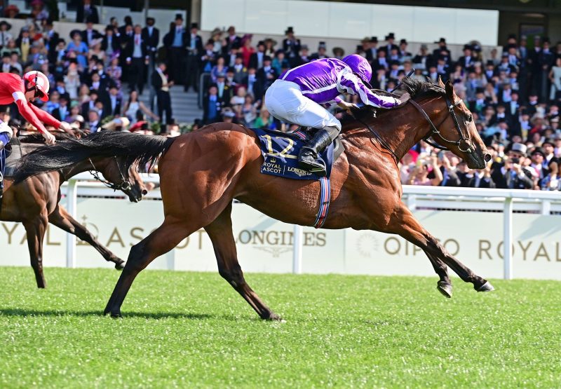 Little Big Bear (No Nay Never) winning at Royal Ascot