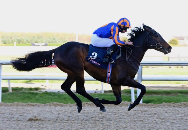 Blackbeard (No Nay Never) Makes A Smart Debut At Dundalk