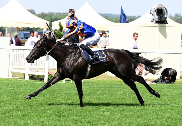 Meditate (No Nay Never) Wins The Group 3 Albany Stakes At Royal Ascot