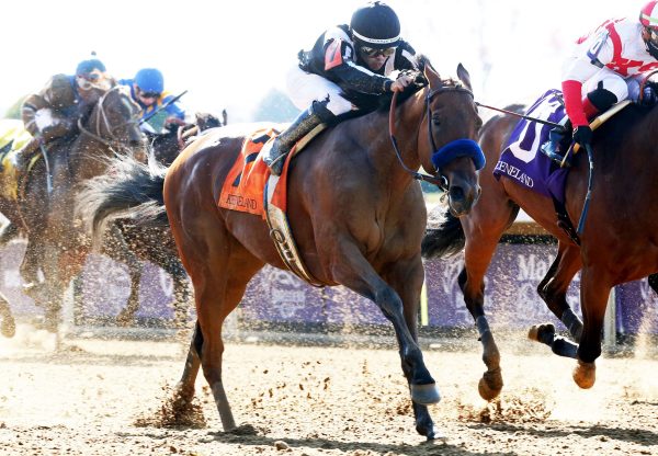 Merneith (American Pharoah) Winning The Qatar Fort Springs at Keeneland