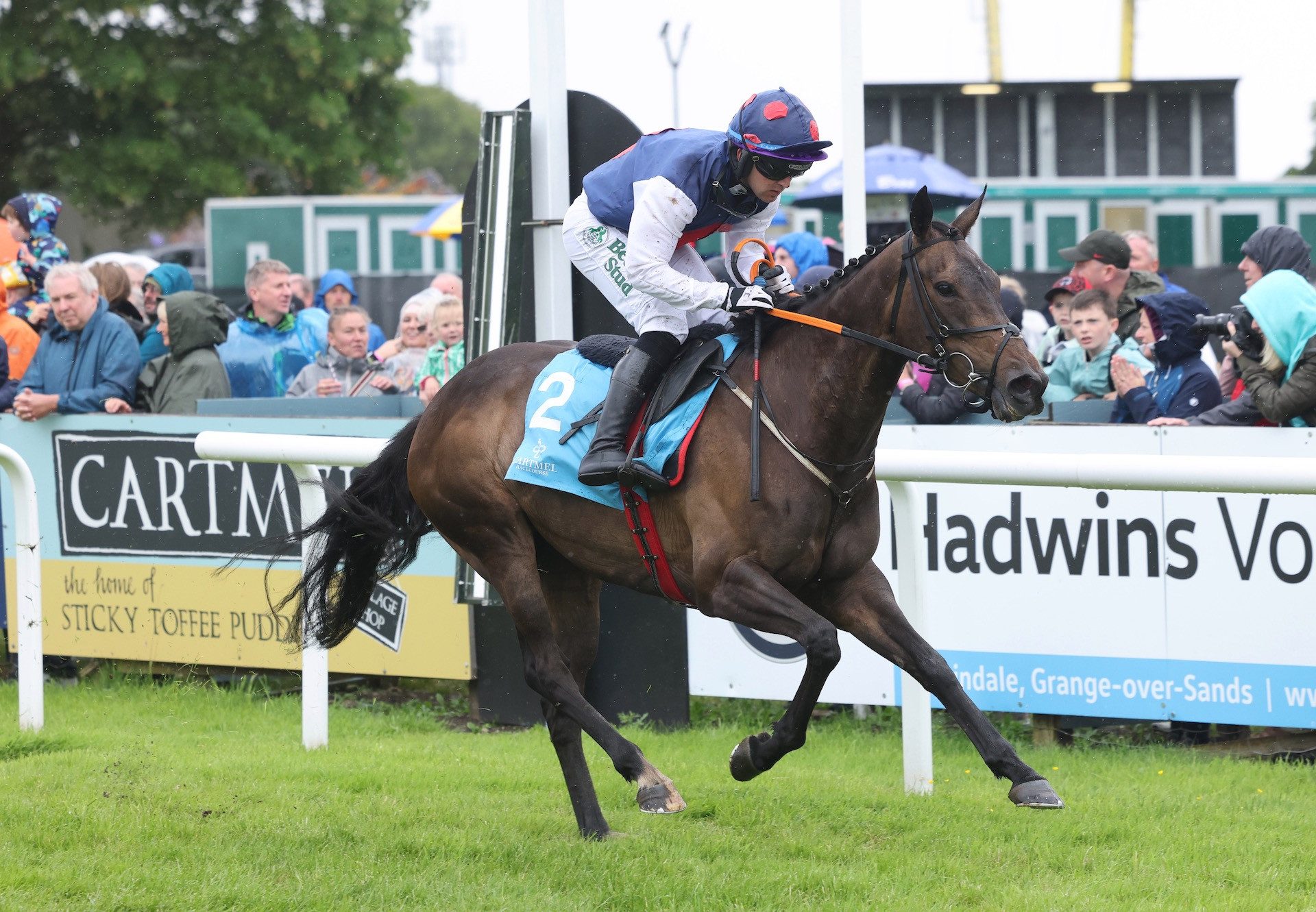 Hophornbeam (Yeats) Wins The Mares Novices Hurdle At Cartmel