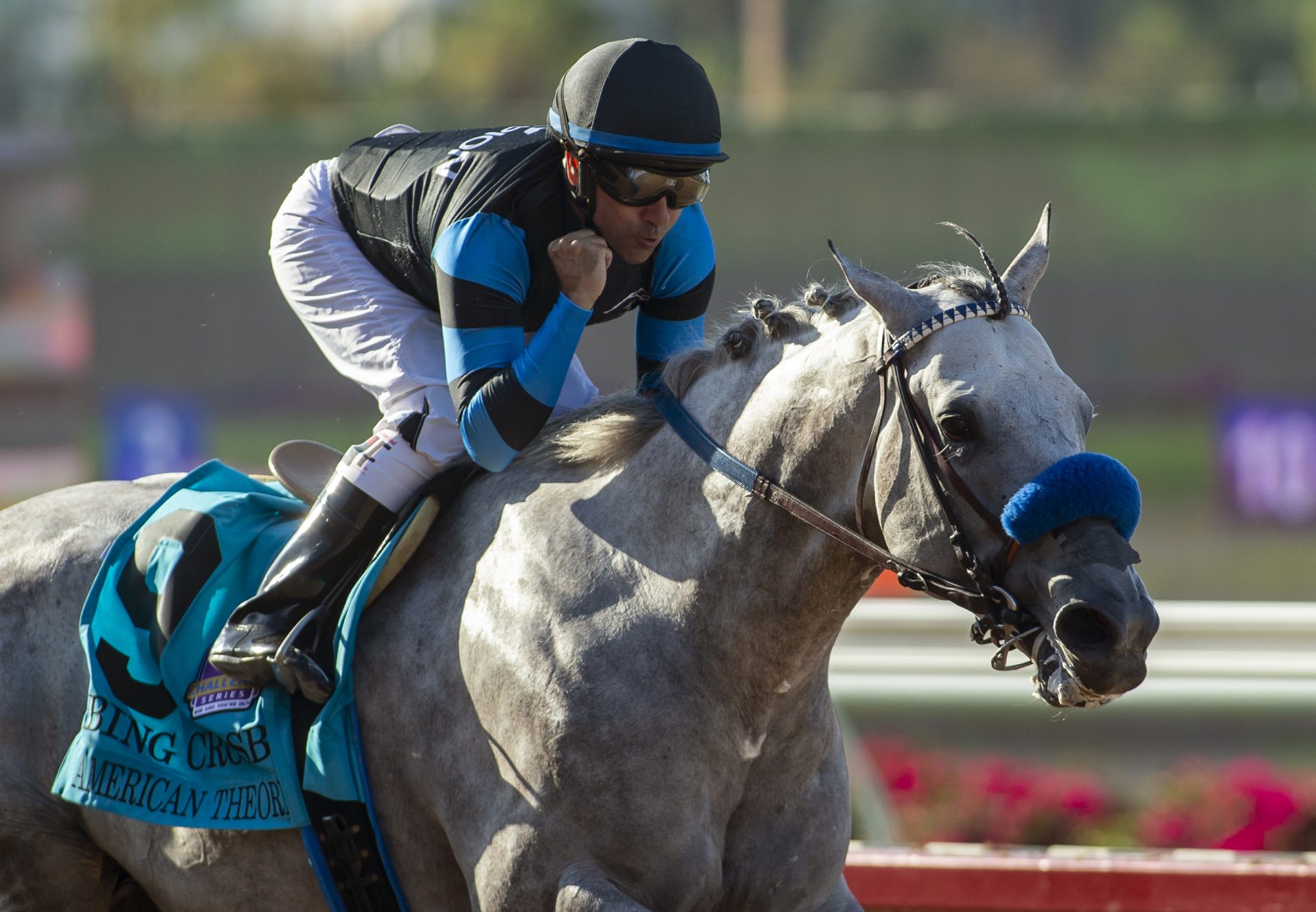 American Theorem (American Pharoah) Wins Gr.1 Bing Crosby at Del Mar