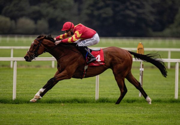 Alessandro Algardi (Gleneagles) Wins His Maiden At Cork