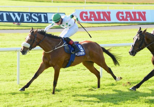 Phoenix Cowboy (Gleneagles) Wins His Maiden At Ballinrobe