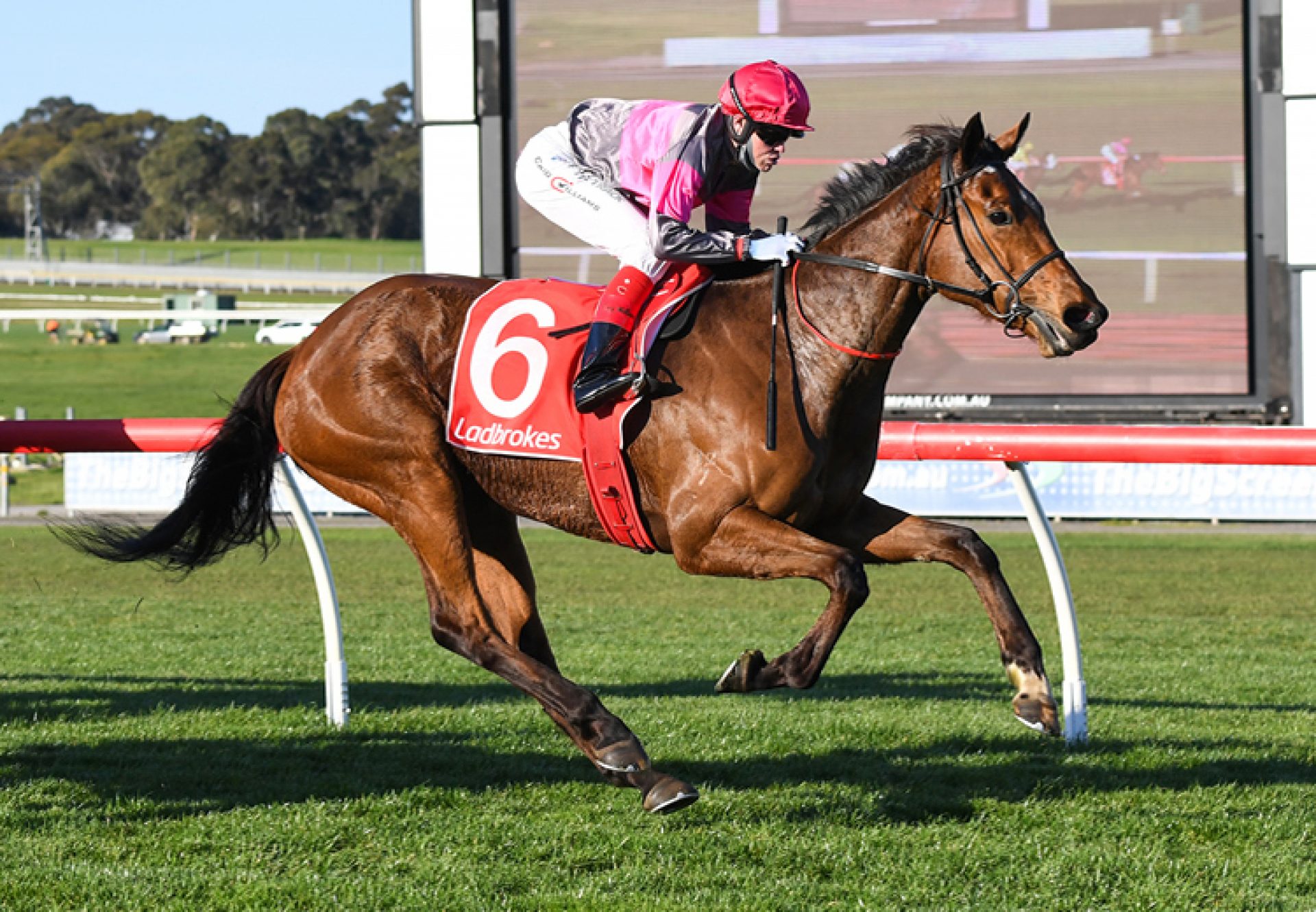 Sirileo Miss (Pride Of Dubai) winning at Sandown