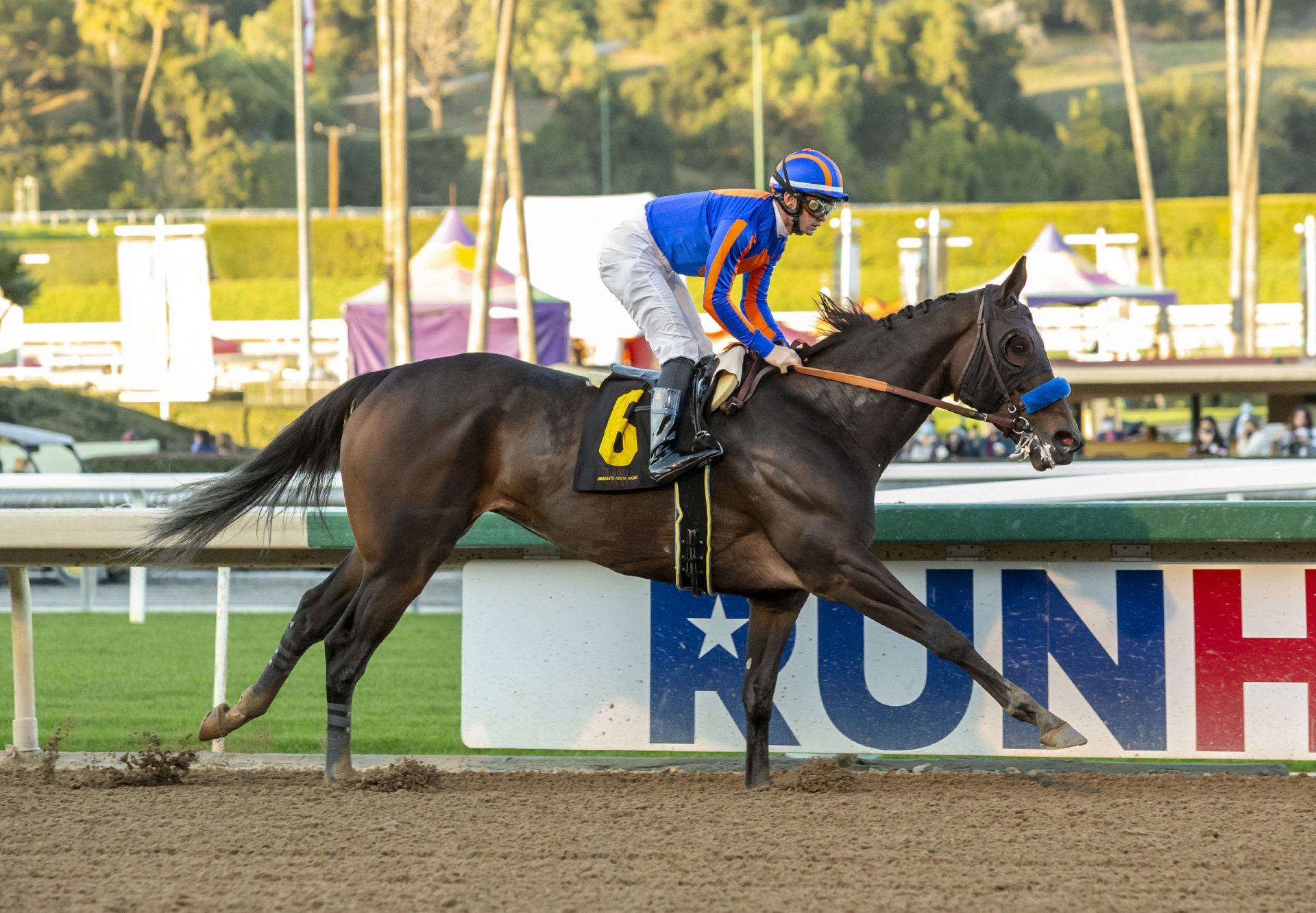 As Time Goes (American Pharoah) wins the G3 La Canada Stakes at Santa Anita