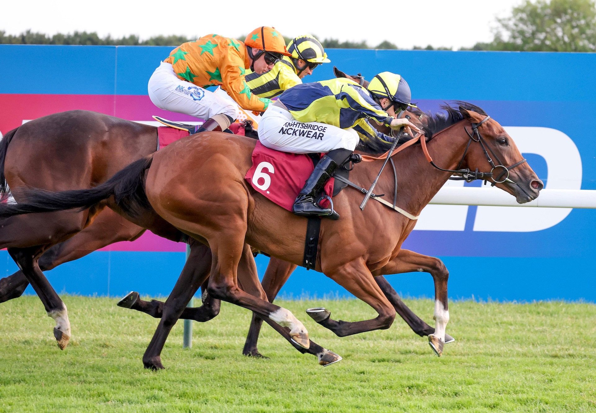 There’s The Door (Starspangledbanner) winning at Haydock