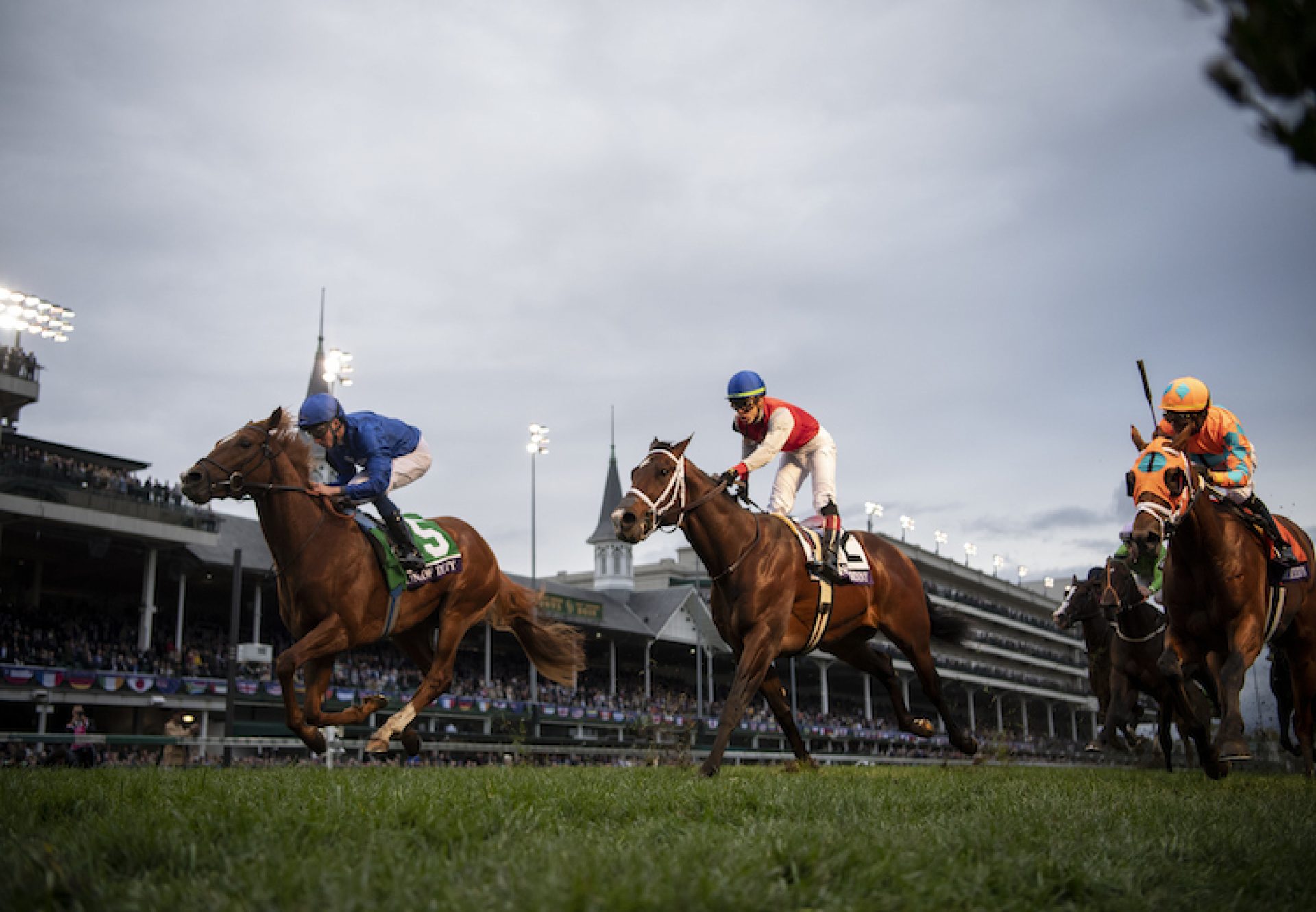 Line Of Duty (Galileo) winning the G1 Breeders Cup Turf at Churchill Downs