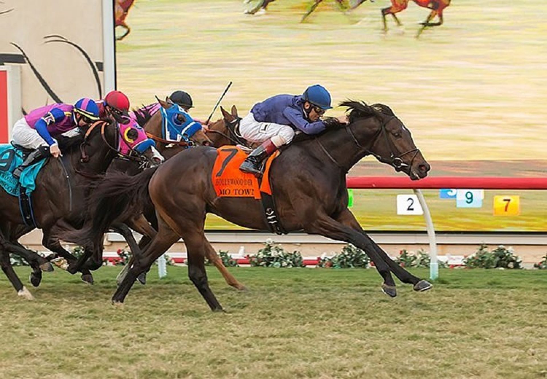 Mo Town (Uncle Mo) winning the G1 Hollywood Derby at Del Mar