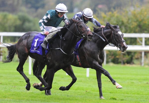 Mount Everest (Galileo) wins the Listed Trigo Stakes at Leopardstown