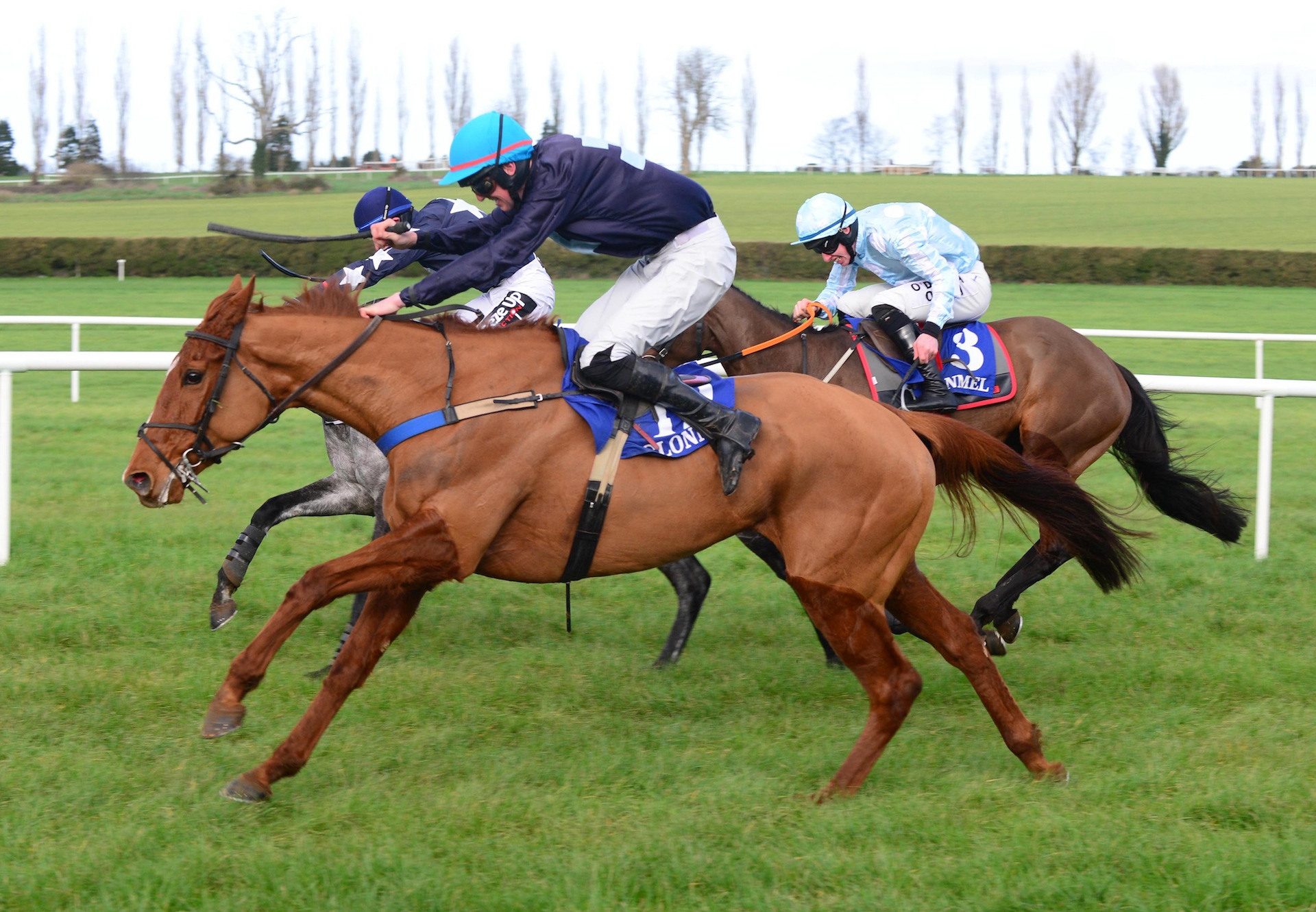 Annie Odds (Mahler) Wins The Mares Maiden Hurdle At Clonmel