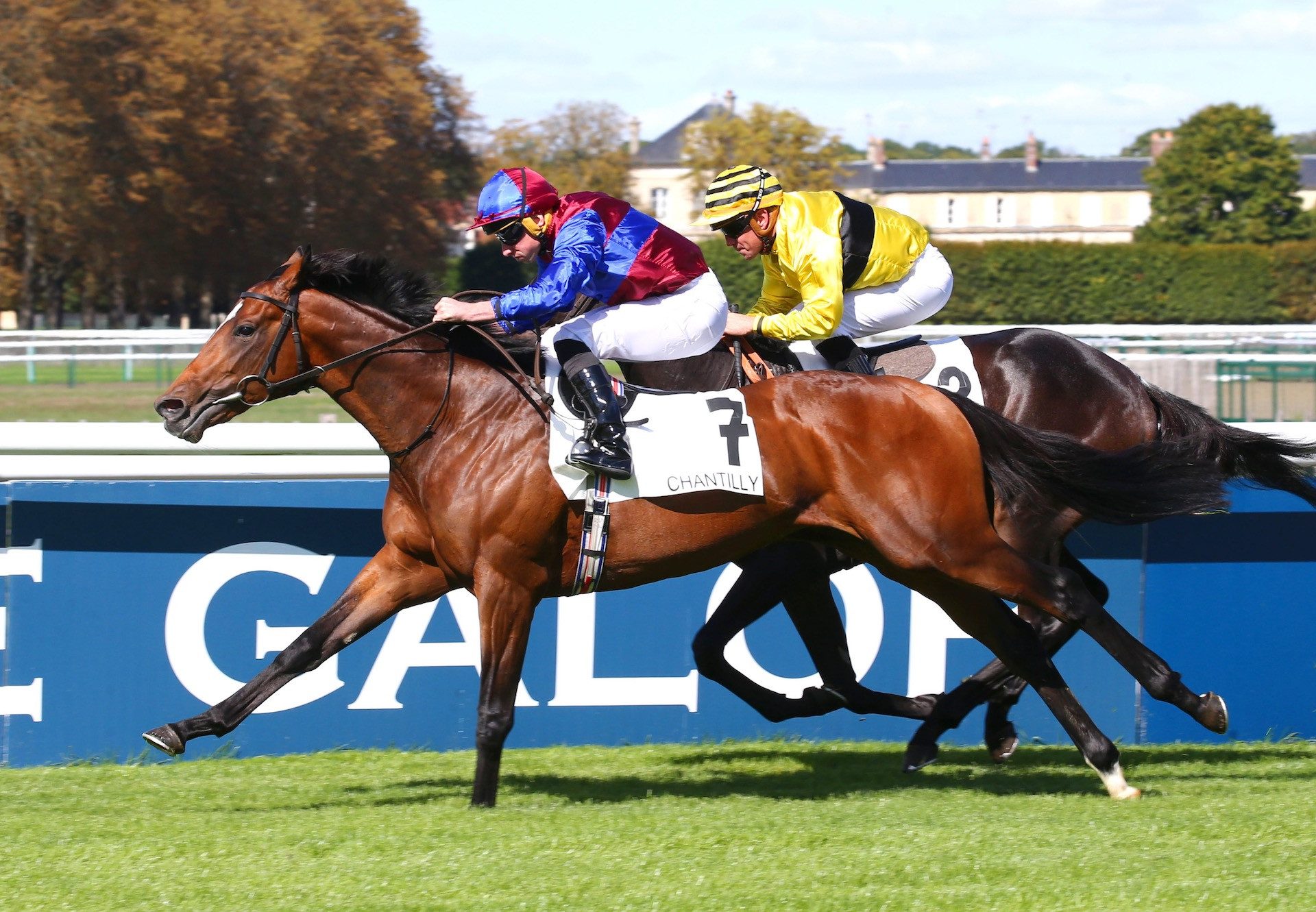 Victoria Road (Saxon Warrior) Wins The Group 3 Prix De Conde at Chantilly