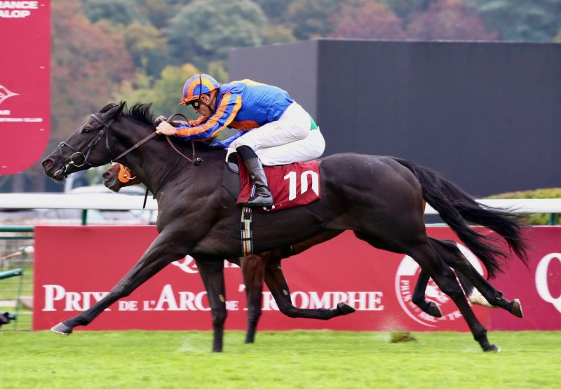 Camille Pissarro (No Nay Never) Wins The Prix Jean Luc Lagardere