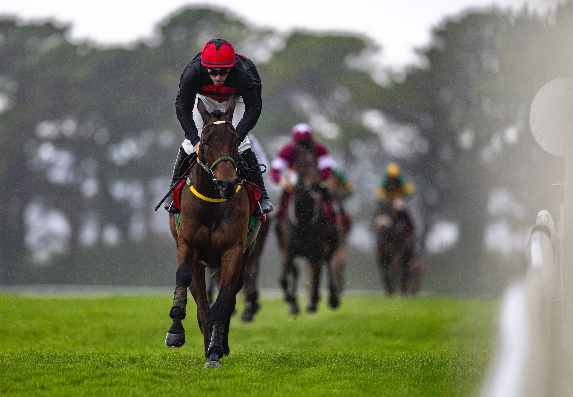 Sportinthepark (Walk In The Park) Wins The Rated Novice Chase At Galway