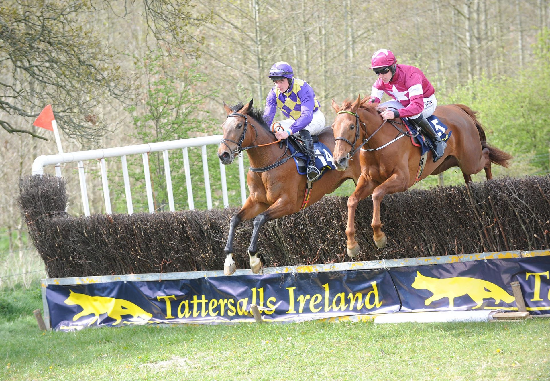 Bohemian Birch (Mahler) Wins The Mares Maiden Hurdle At Tramore