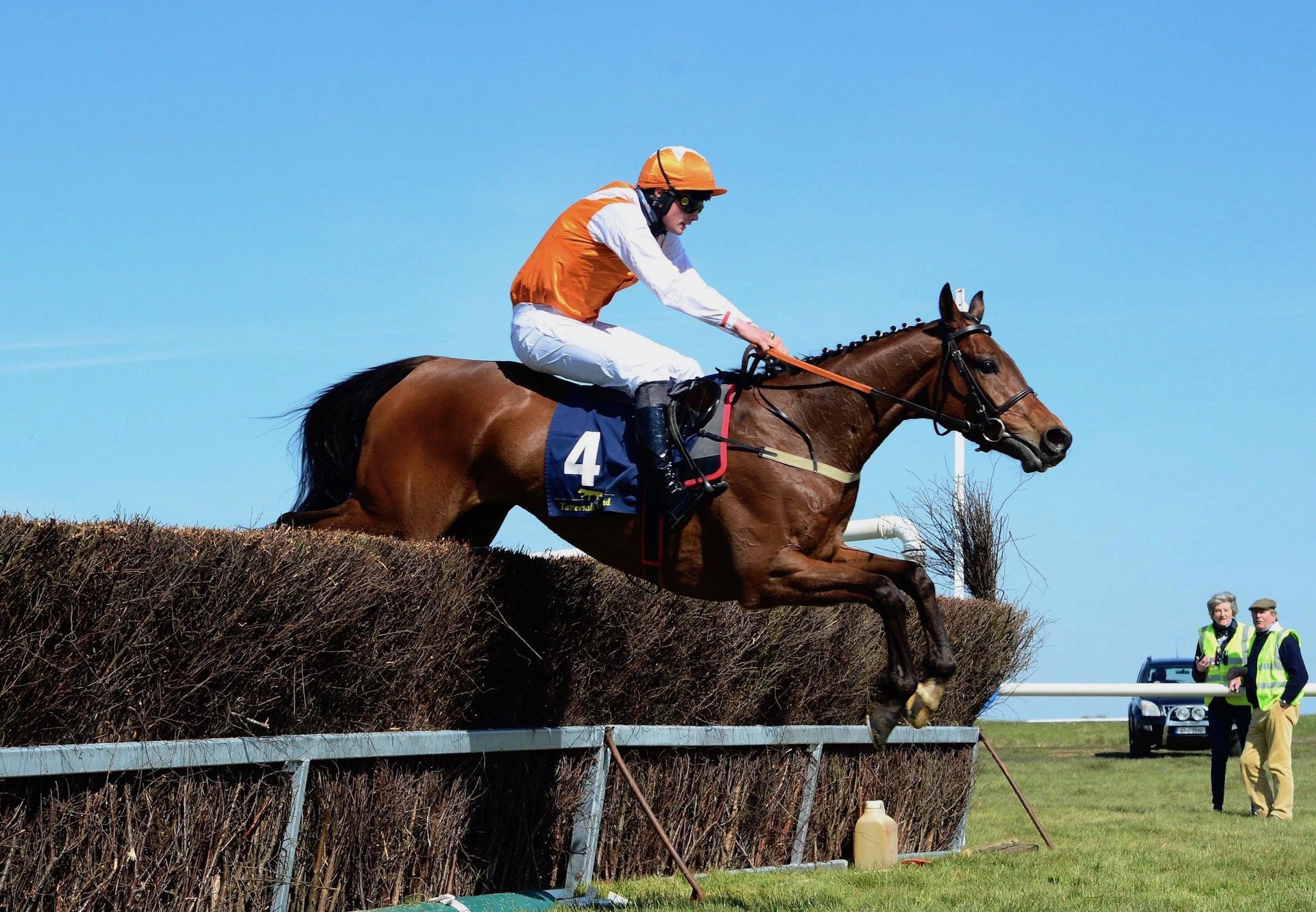 Corrigeen Rock (Westerner) Makes A Winning Debut At Fairyhouse