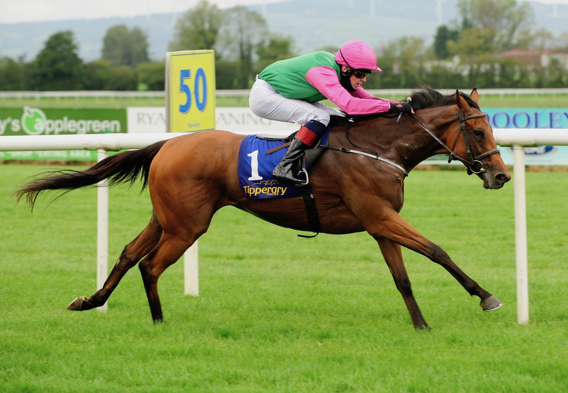 Kaluz (The Gurkha) Wins At Tipperary