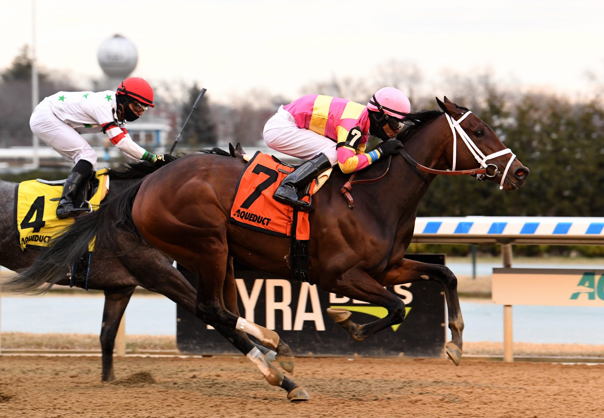 Thankful (American Pharoah) wins the Ladies Handicap at Aqueduct