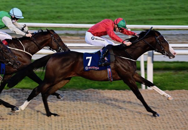 Snaffles (Churchill) Wins The Listed Star Appeal Stakes At Dundalk