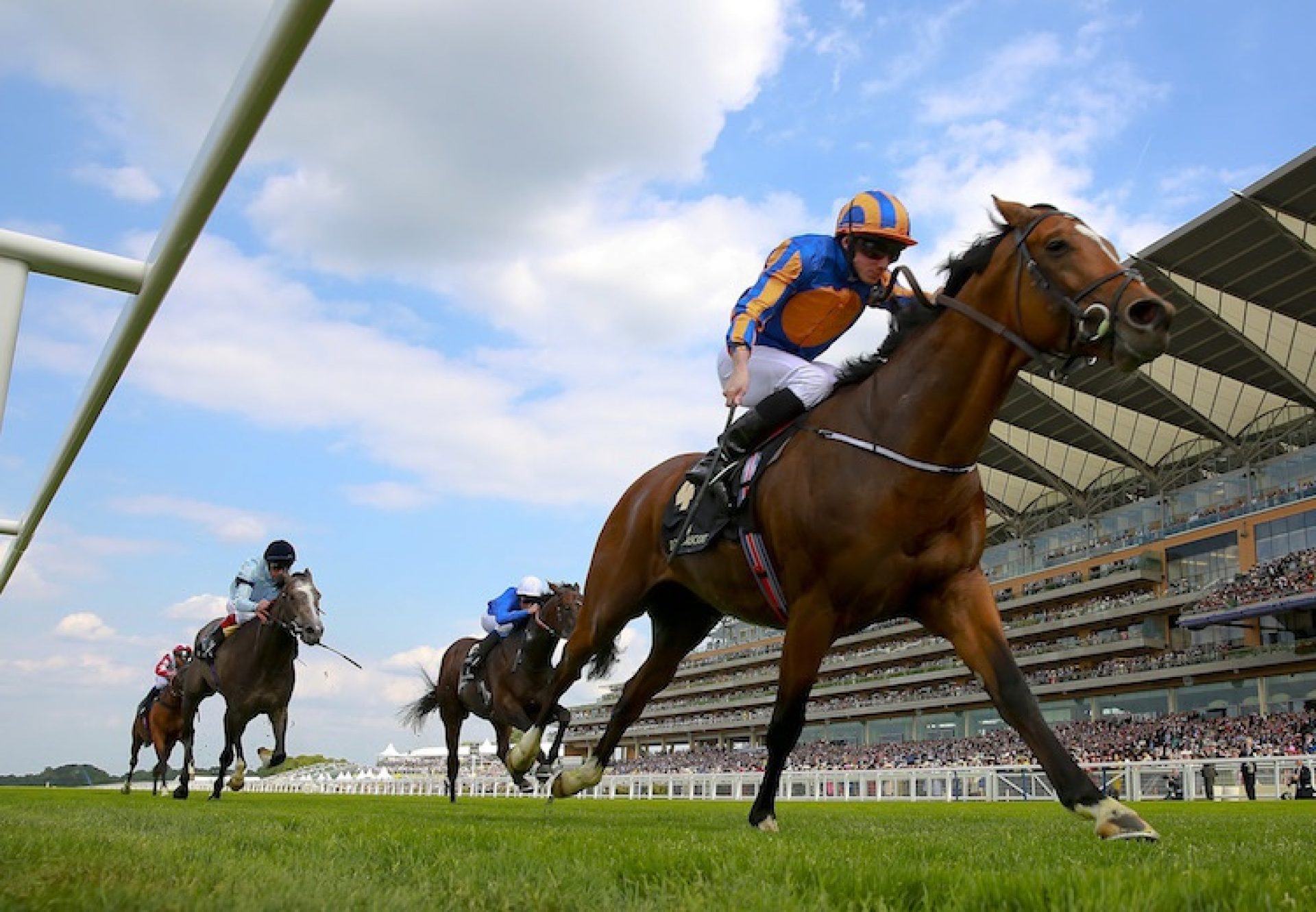 Gleneagles (Galileo) winning the G1 St James's Palace Stakes at Royal Ascot