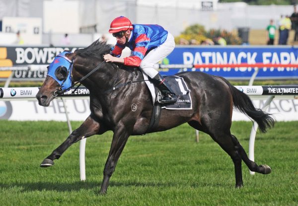 Pierro Winning The G1 Champagne Stakes